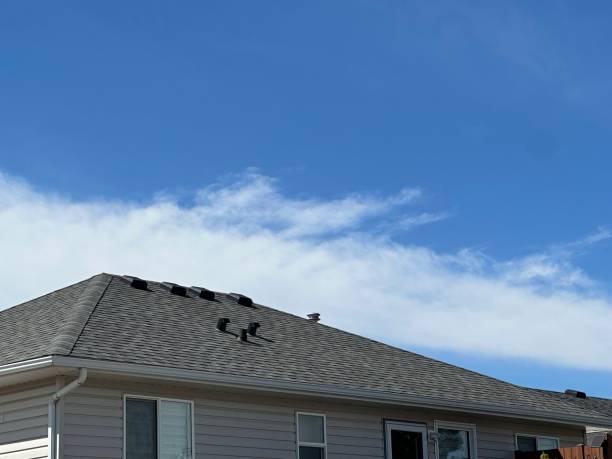 Best Roof Insulation Installation  in Hesperia, CA